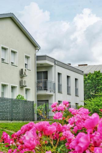 Sempeter pri Gorici Apartment | LJ Apartments - Šempeter pri Gorici