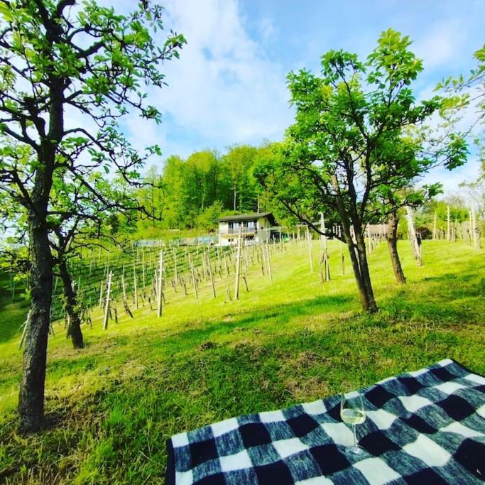 Podcetrtek House | Mini hiška v objemu vinograda