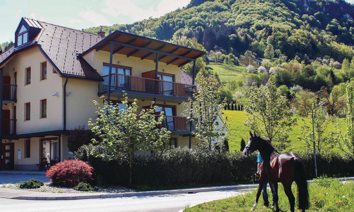 Lasko Apartment | Nice apartment in Lasko with WiFi