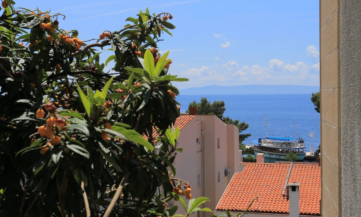 Brela Apartment | One bedroom apartment with terrace and sea view Brela, Makarska (A-20598-c)