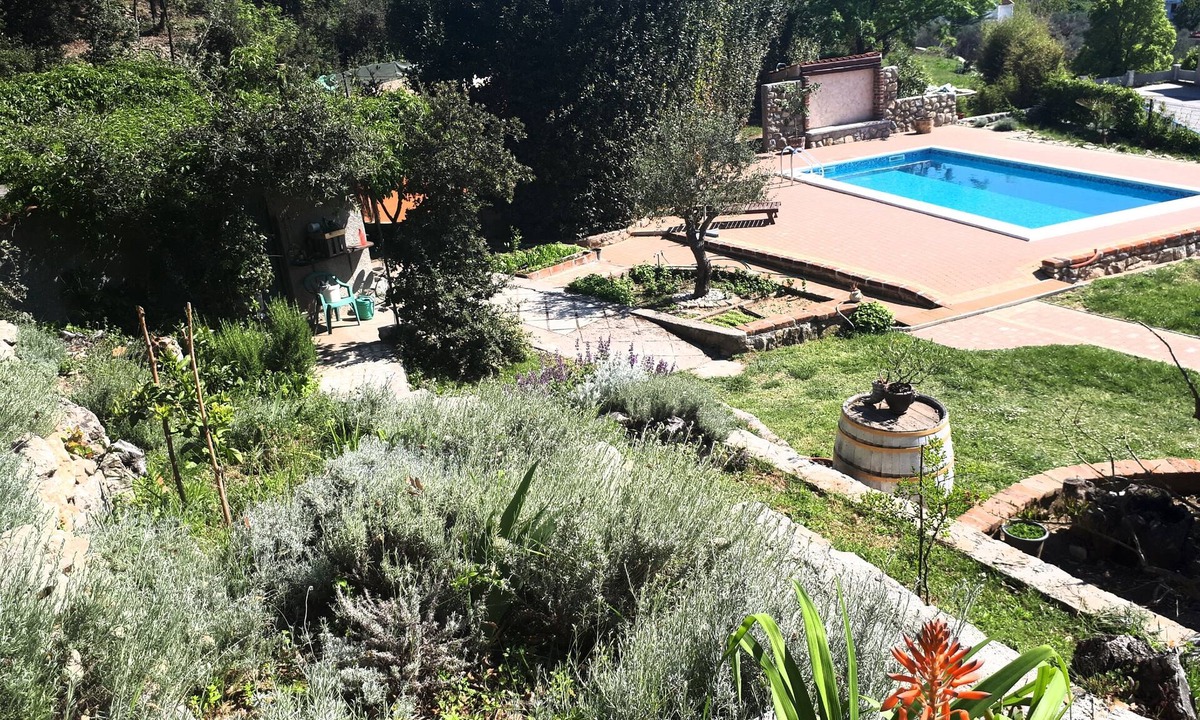 Kampor Apartment | One bedroom apartment with a swimming pool Kampor, Rab (A-15518-c)