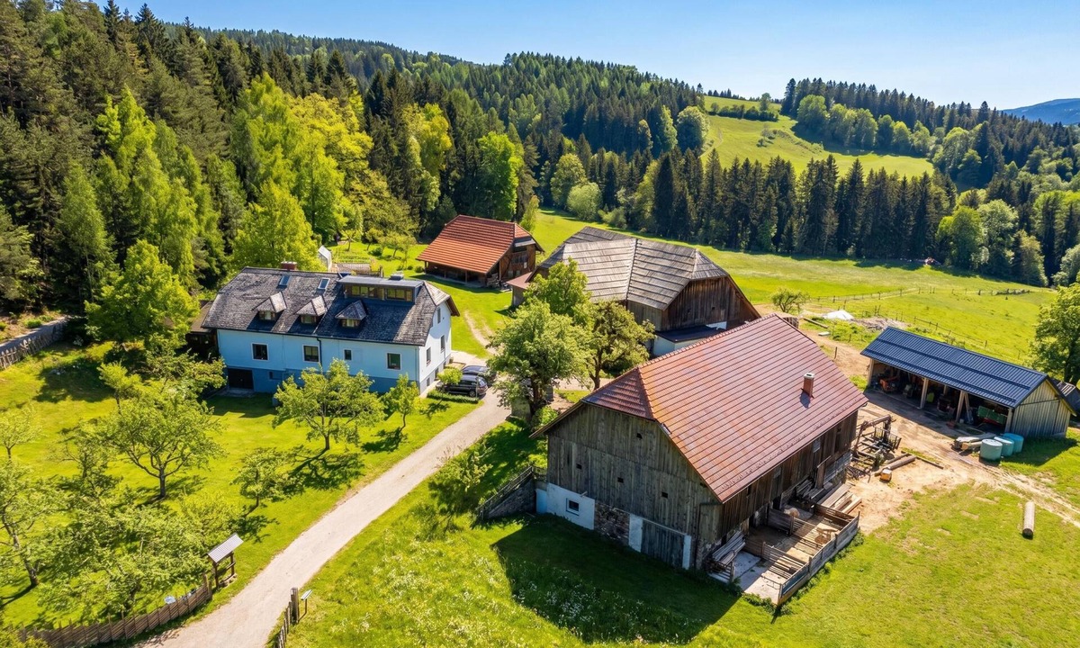 Prevalje Apartment | Organic Homestead Mikl Pine Tree Apt, Slovenj Gradec, Slovenia