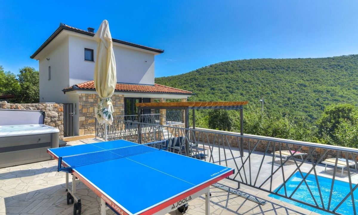 Ledenice House | Private Villa with hot tub, WIFI, private pool, A/C, TV, terrace, pets allowed, panoramic view