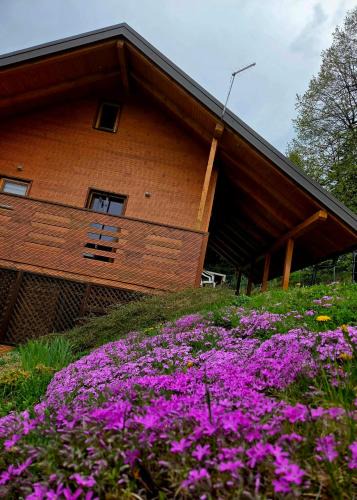 Slovenj Gradec House | Romantic cabin in the woods - Fesnga, Slovenia