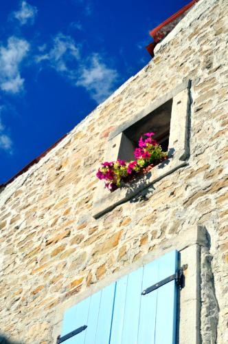 Motovun House | Ruine-Motovun KH