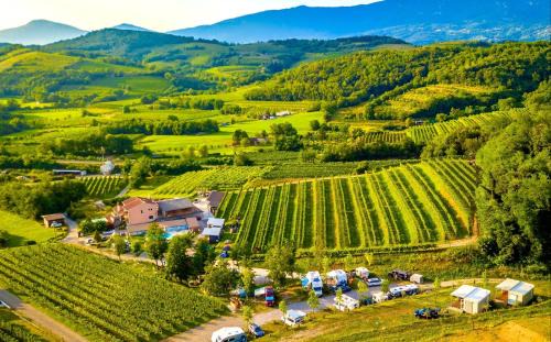 Zalosce Other | Saxida Wine & Camping Resort - Campsite
