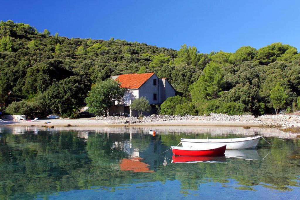 Zrnovo House | Seaside holiday house Cove Vrbovica bay - Vrbovica (Korcula) - 9223