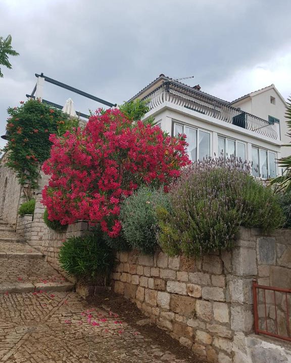 Vrboska Apartment | Seaview