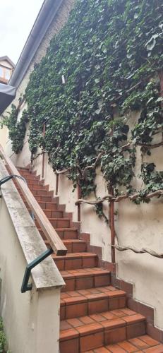 Donji Grad Apartment | See Love 2
