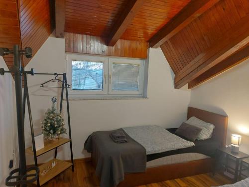 Rasinja Apartment | Skitnica - Na zavoju