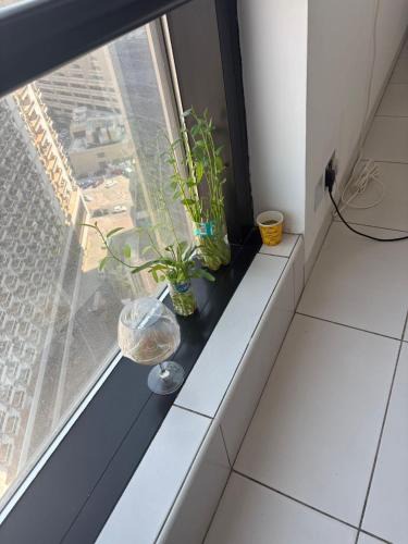 Za'abeel 2 Apartment | skyline