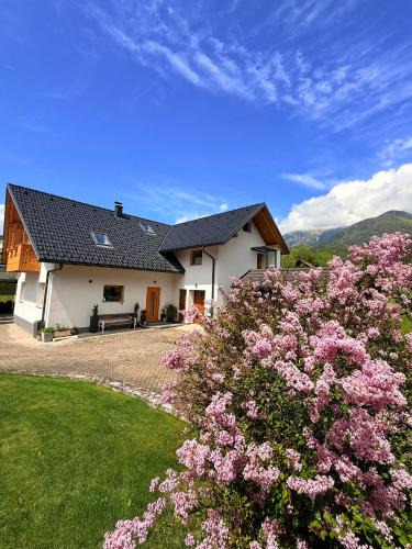 Preddvor Apartment | Slosarjeva Holiday House - Alpine View & Modern Comfort