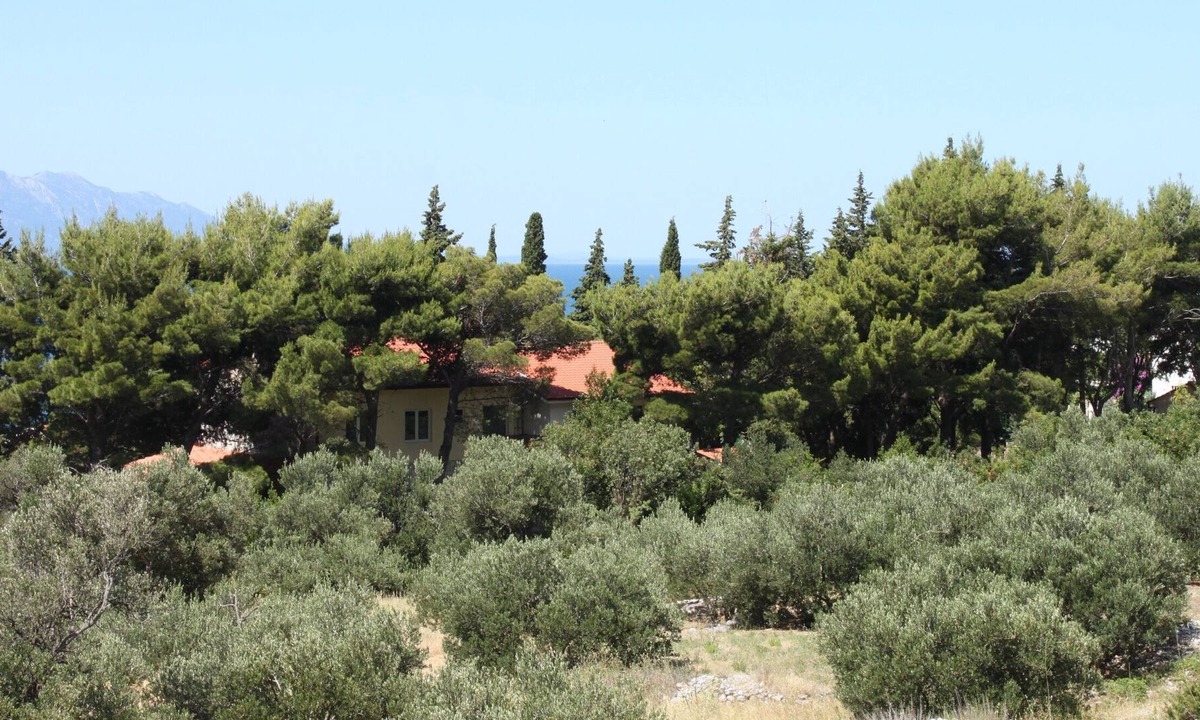 Gradac Apartment | Studio flat with terrace Gradac, Makarska (AS-6881-a)