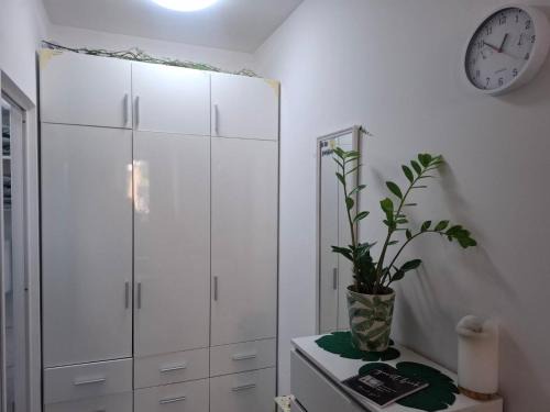 Ljubljana Apartment | Studio Forest