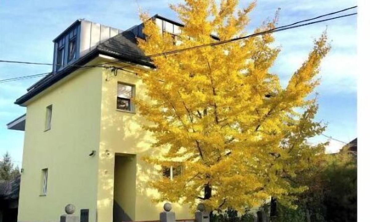 Ljubljana Apartment | Sunny Villa Studio