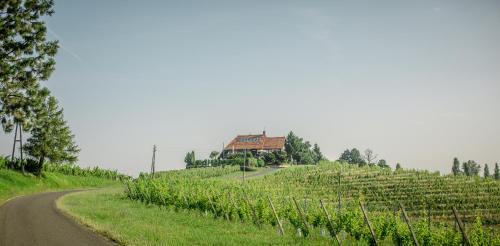 Ormoz House | Taverna & Wine Jeruzalem