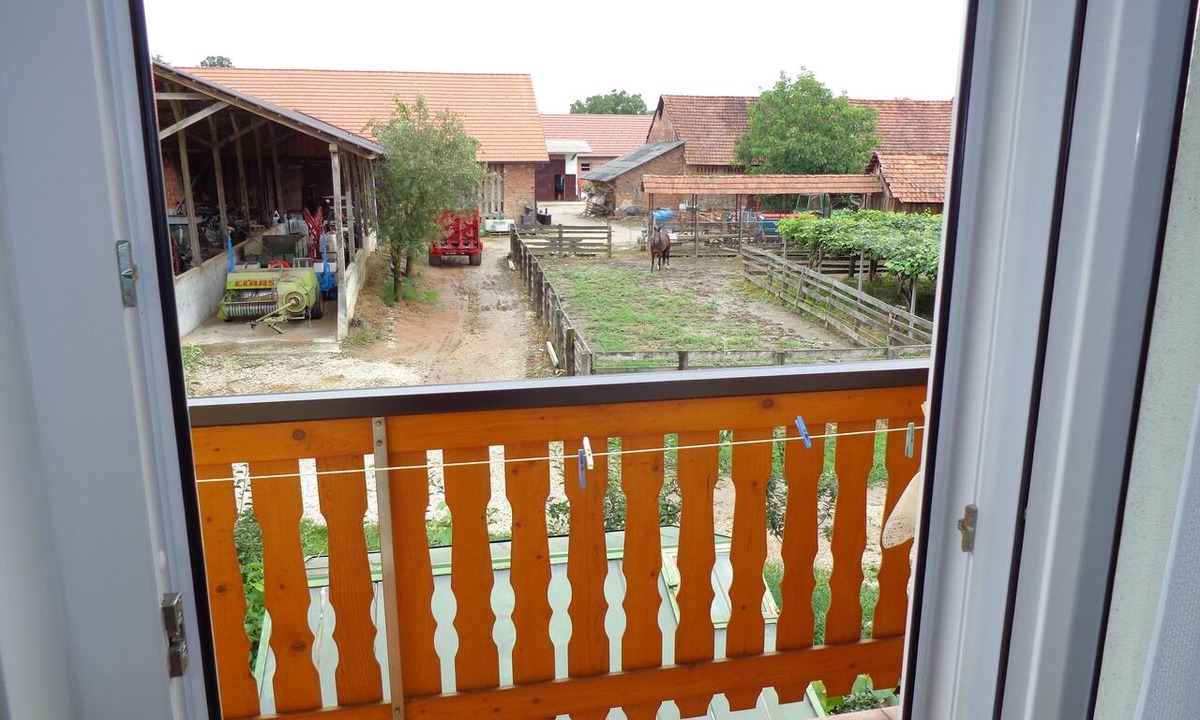 Verzej Other | Tourist farm and beekeeping Salamun