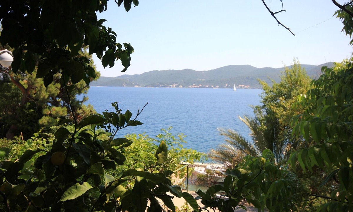 Viganj Apartment | Two bedroom apartment near beach Viganj (Pelješac) (A-633-c)