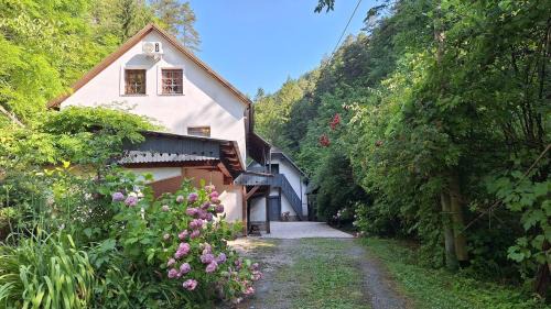Hrastnik Villa | Vila Anton