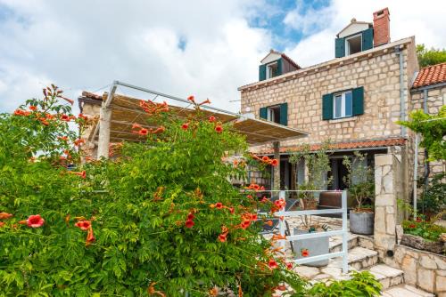 Mlini House | Villa Doris Mlini