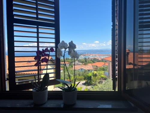 Izola Apartment | Villa Maris Izola