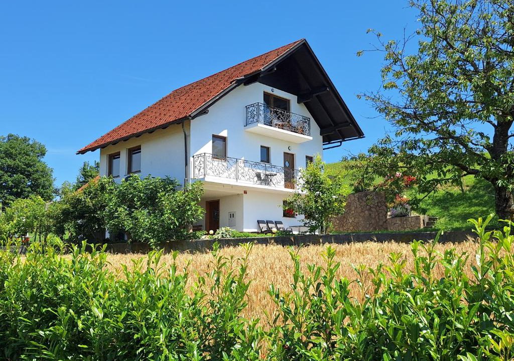 Krsko House | Vineyard Apartments near Rajhenburg Castle