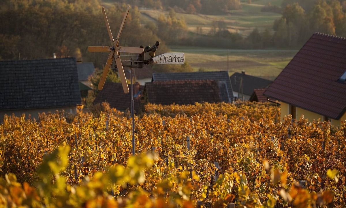 Drasici House | Vineyard Cottage Brodaric