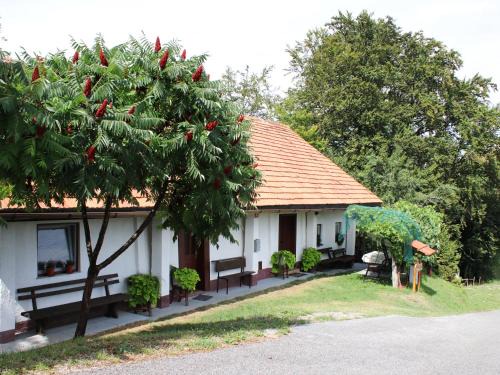 Videm House | Vineyard cottage Ranč pri Hanzeku