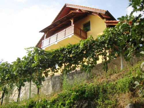 Srednje Grcevje House | Vineyard Cottage Ucman