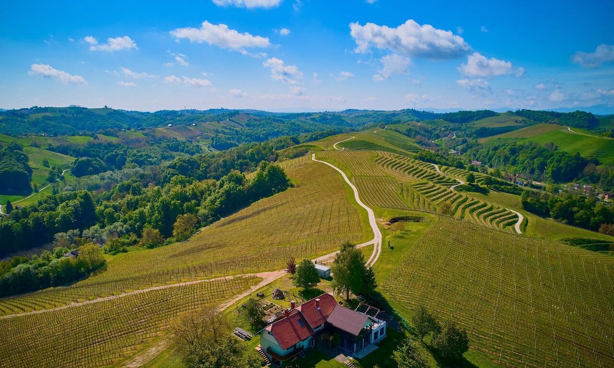 Ljutomer House | Vineyard House Marijan w/Panoramic Views, Ljutomer, Slovenia