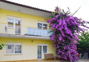 Holiday apartment with air conditioning