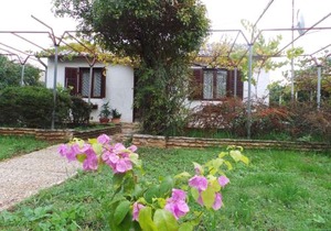 Holiday home in Fazana - Istrien 11242