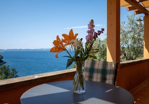 Studio flat with terrace and sea view Sali, Dugi otok (AS-17791-a) in Sali