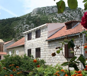Trstenik 