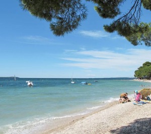 Villa Olive 