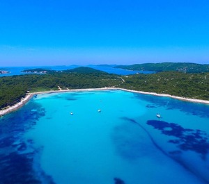 Holiday Sea 