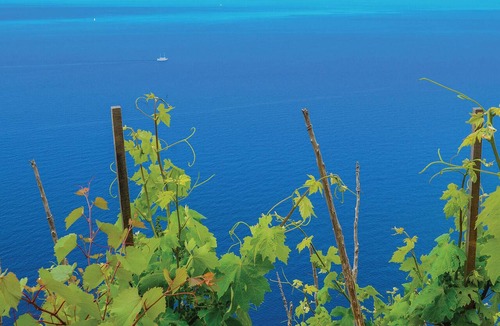 Trstenik Apartment | 2 bedroom beautiful apartment in Trstenik