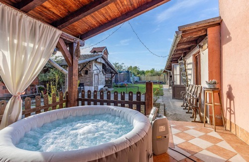 Erdut House | 4 bedroom stunning home in Dalj