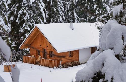 Ratece Apartment | Alpine Retreat Apartments Šurc