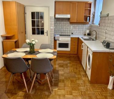 Rogaska Slatina Apartment | Ana Marija Apartment - Vila Golf