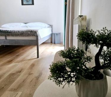 Artatore Hotel | Ana rooms