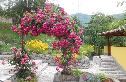 Obrs Apartment | Apartments Vesna (51911-A1) - Moscenicka Draga (Opatija)