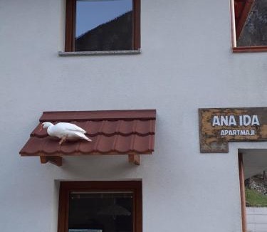 Zaga Apartment | APARTMA ANA IDA