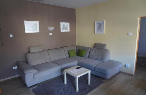 Ribcev Laz Apartment | Apartma jezero MIG