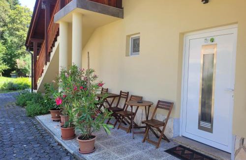 Metlika Apartment | Apartma Lahinja