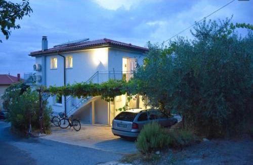 Seca Apartment | Apartma med oljkami Spodnji
