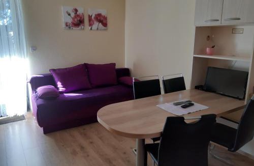 Zrece Apartment | Apartma Rogla Gaber 110