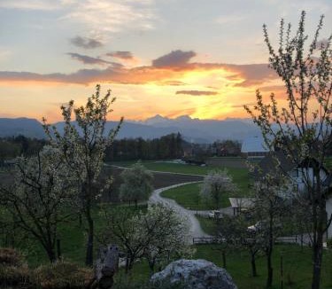 Radovljica House | Apartma Romana
