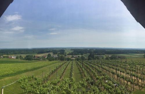 Tisina House | Apartma Sonček - House in the vineyard