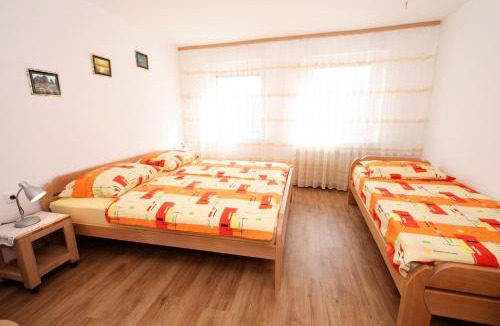 Drezniske Ravne Apartment | Apartmaji Berginc